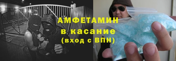 прущие грибы Богданович